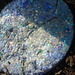 steppingstones 018.JPG